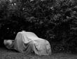 Gentile_Tucked Away_th